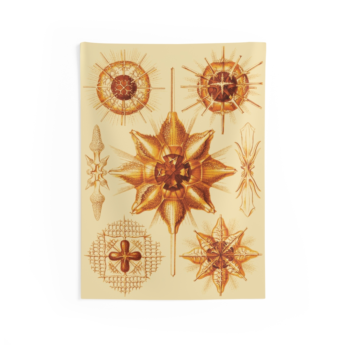 Acanthometra Ernst Haeckel - Indoor Wall Tapestry