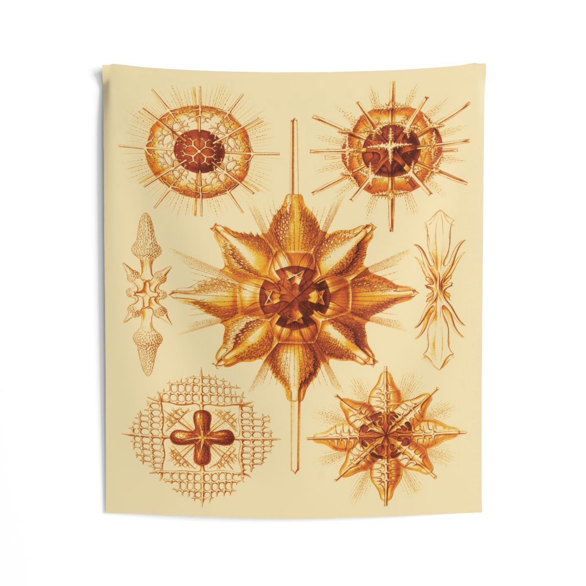 Acanthometra Ernst Haeckel - Indoor Wall Tapestry - Image 2