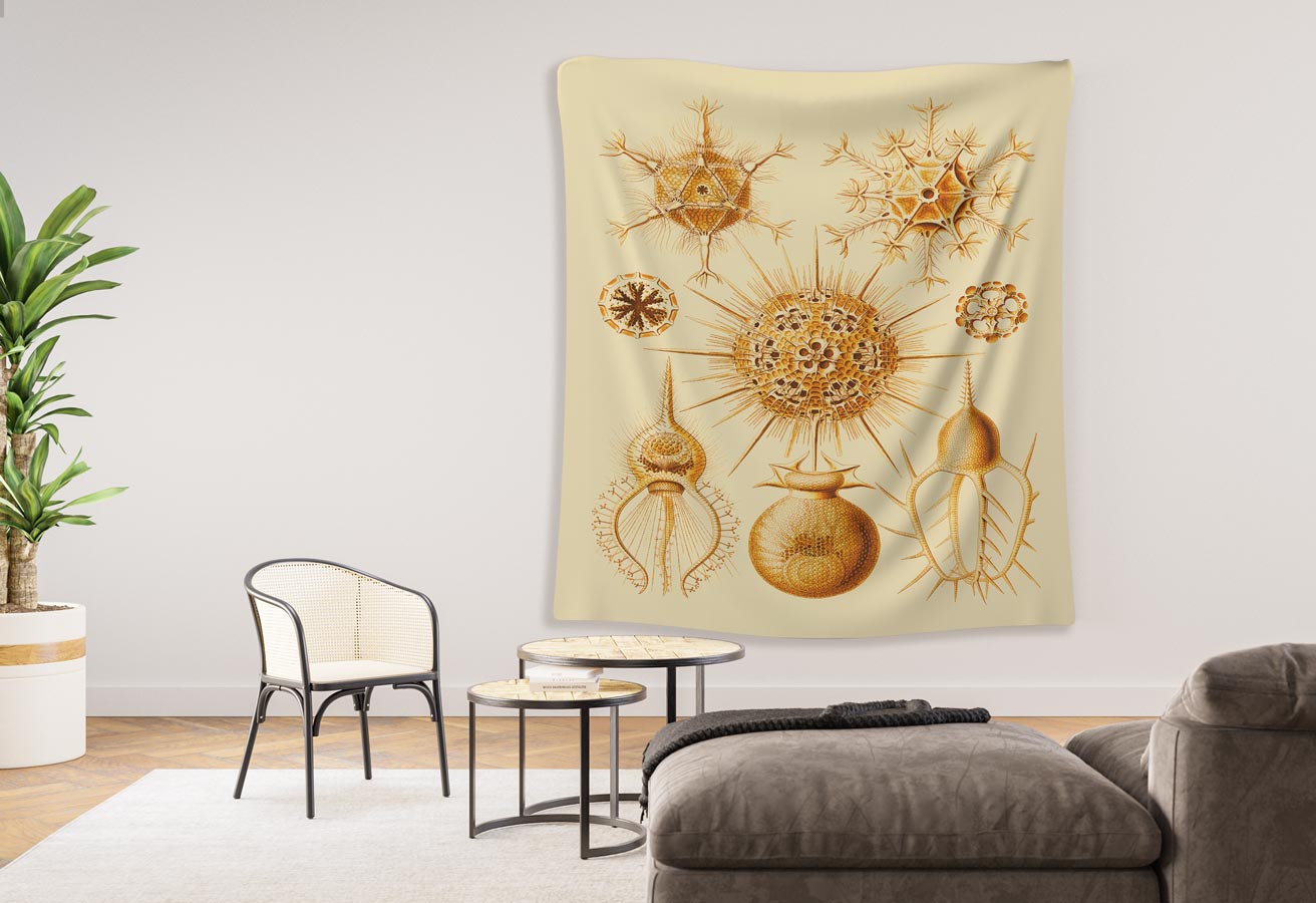 Phaeodaria Ernst Haeckel Indoor Wall Tapestry M4-1 - Image 3