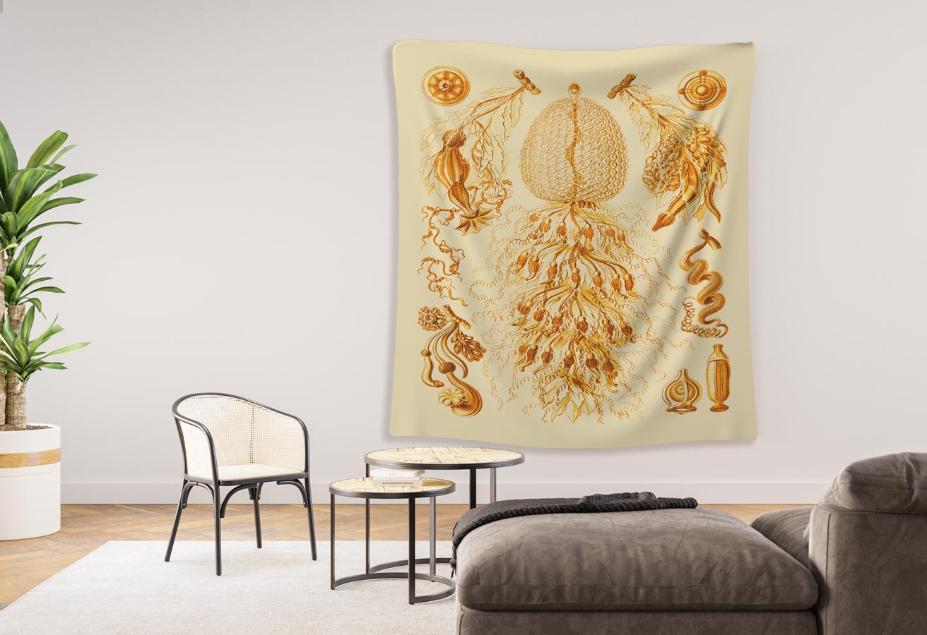 Siphonophorae, Ernst Haeckel - Indoor Wall Tapestry - Image 3