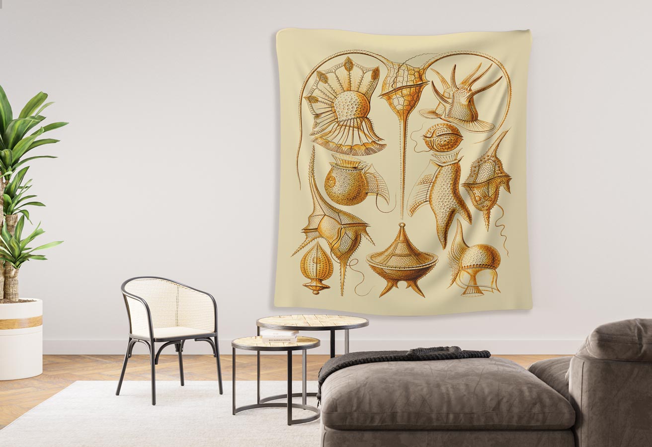 Peridinea Ernst Haeckel Indoor Wall Tapestry M4-2 - Image 3