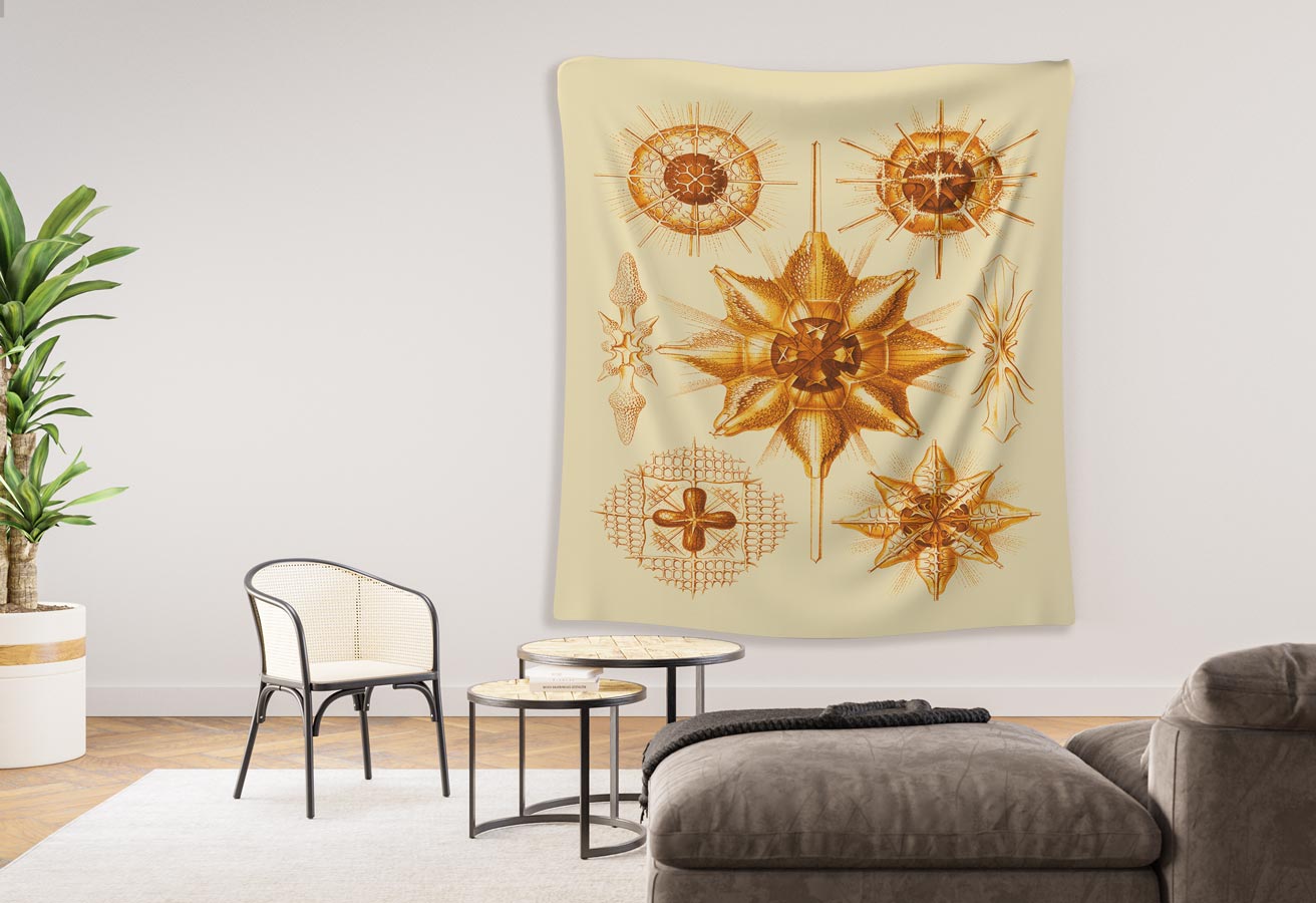 Acanthometra Ernst Haeckel - Indoor Wall Tapestry - Image 3