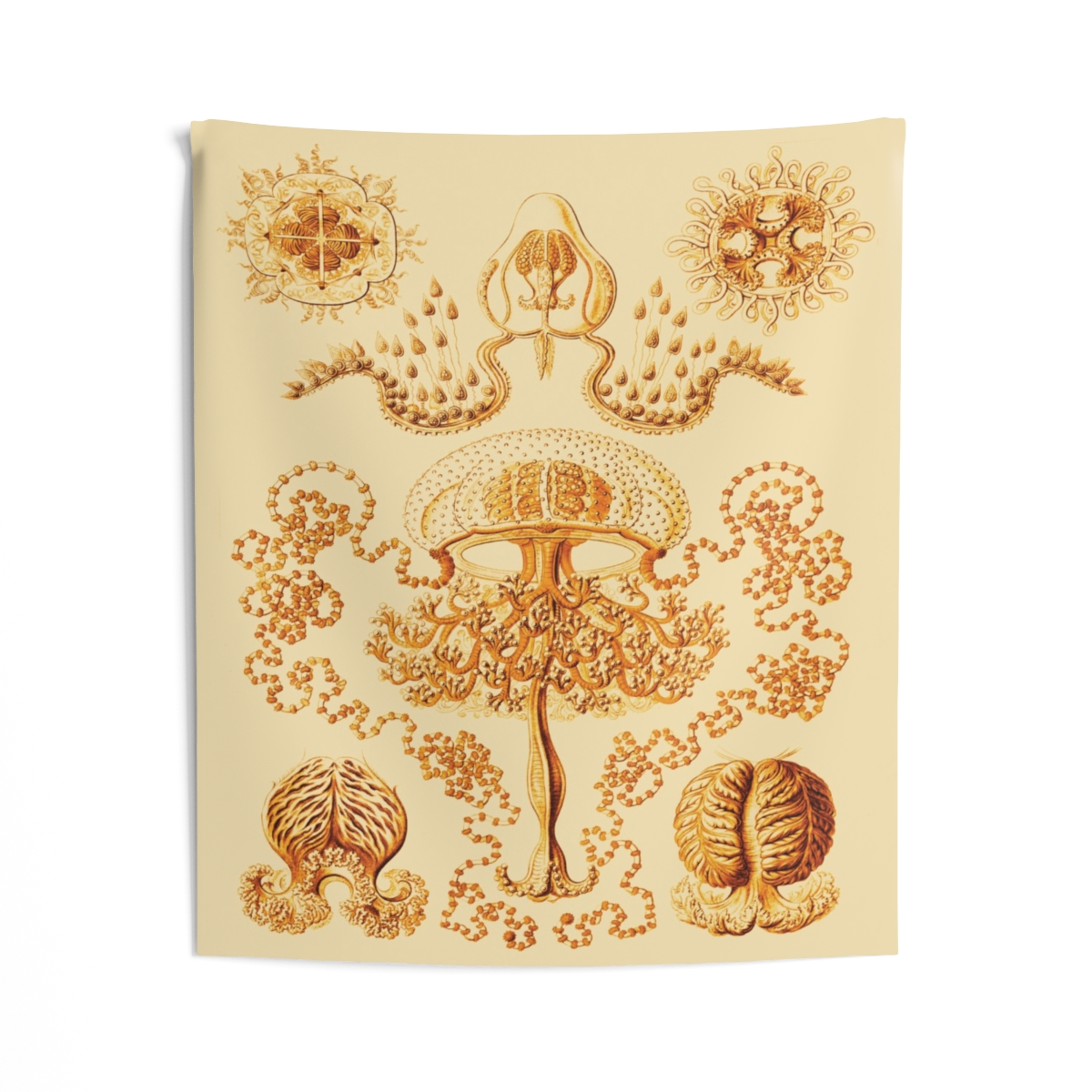 Anthomedusae Ernst Haeckel Indoor Wall Tapestry M4-12 - Image 2