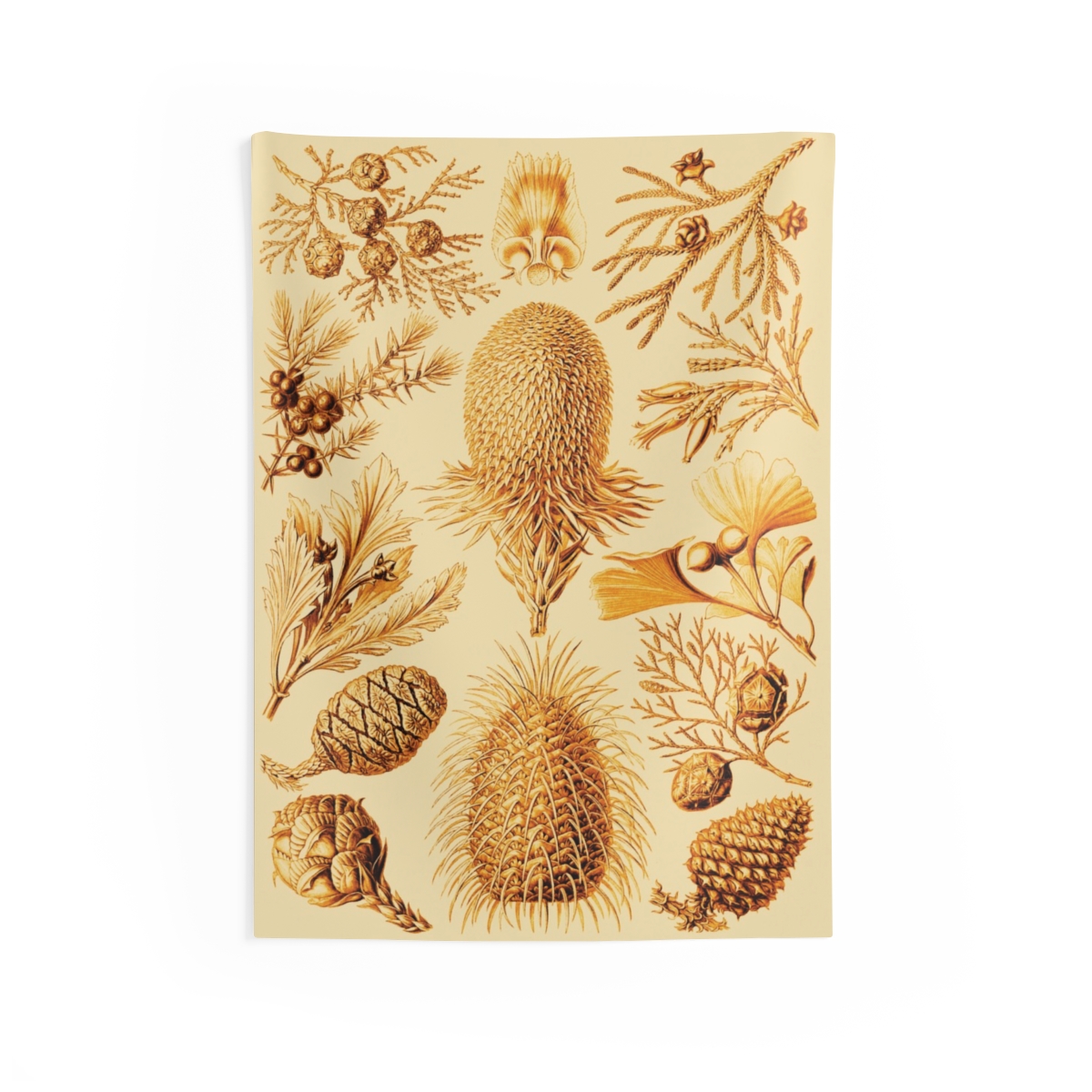 Conifer, Ernst Haeckel - Indoor Wall Tapestry