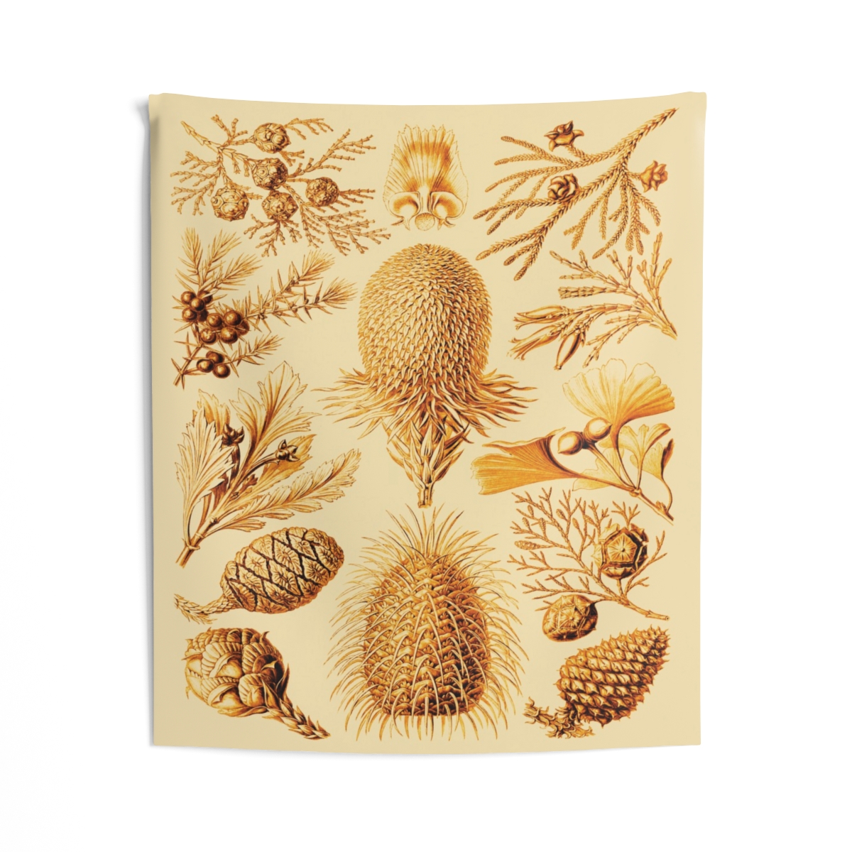 Conifer, Ernst Haeckel - Indoor Wall Tapestry - Image 2