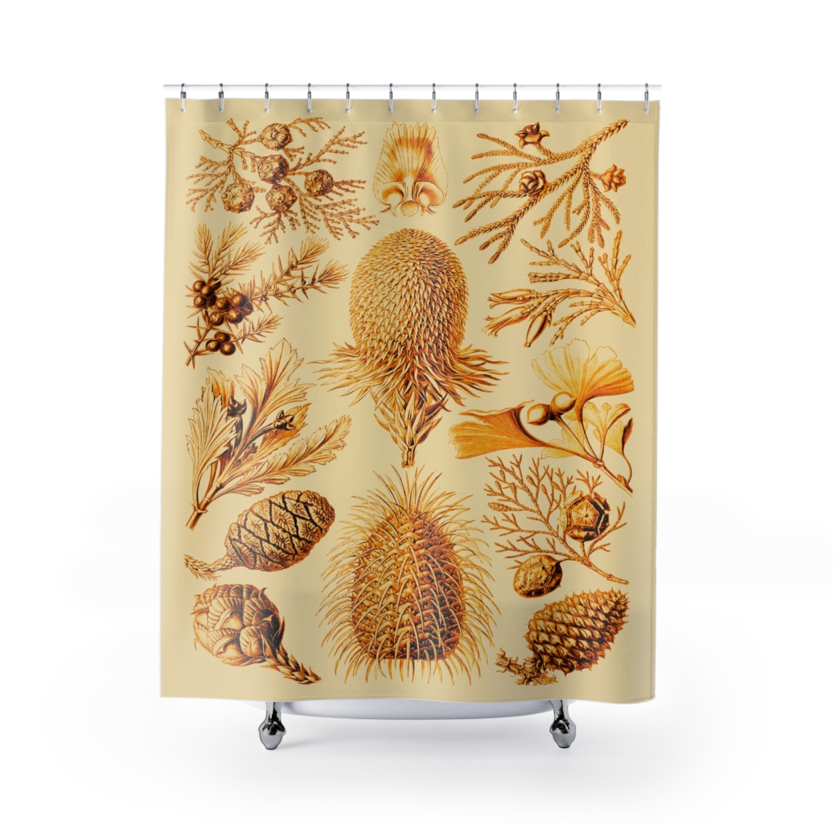 Conifer Ernst Haeckel - Shower Curtain 1 Conifer Ernst Haeckel - Shower Curtain