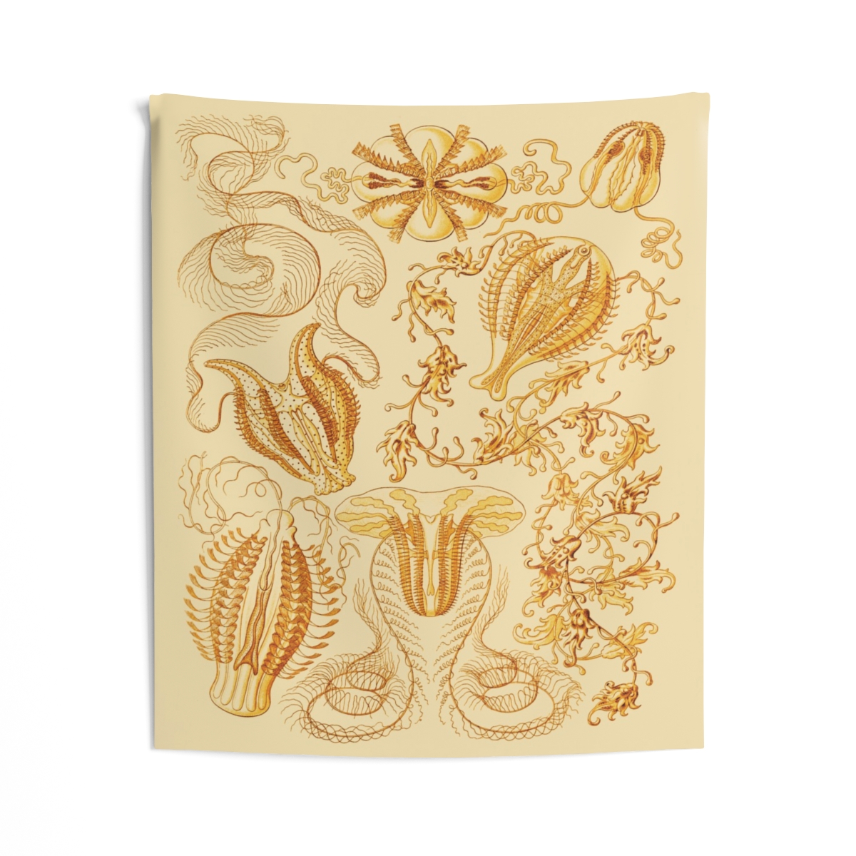 Ctenophorae Ernst Haeckel Indoor Wall Tapestry M4-11 - Image 2