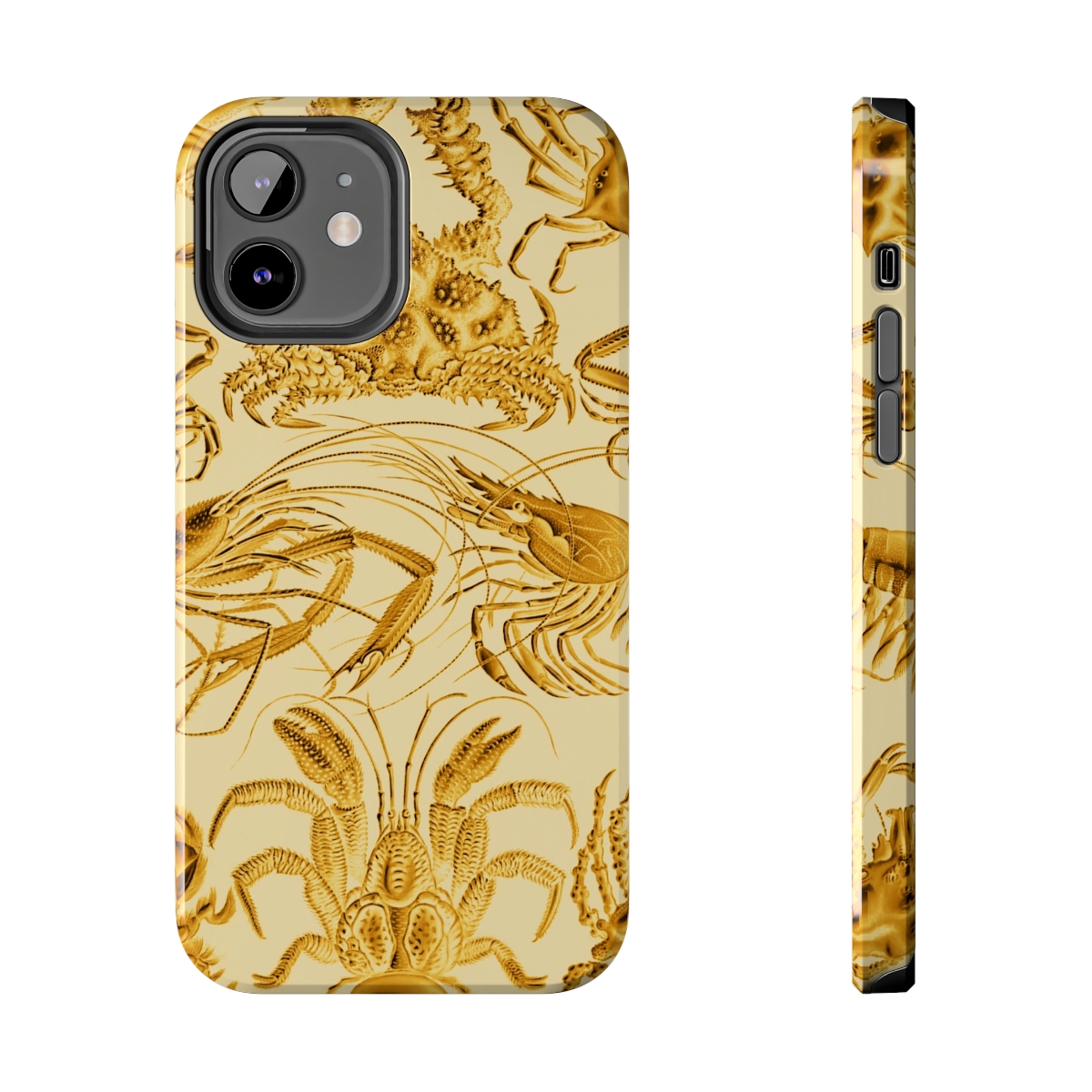 Ernst Haeckel Decapoda - iPhone Cases
