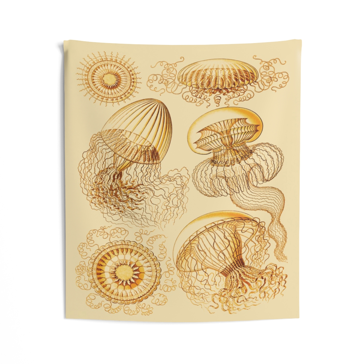 Leptomedusae Ernst Haeckel Indoor Wall Tapestry M4-9 - Image 2