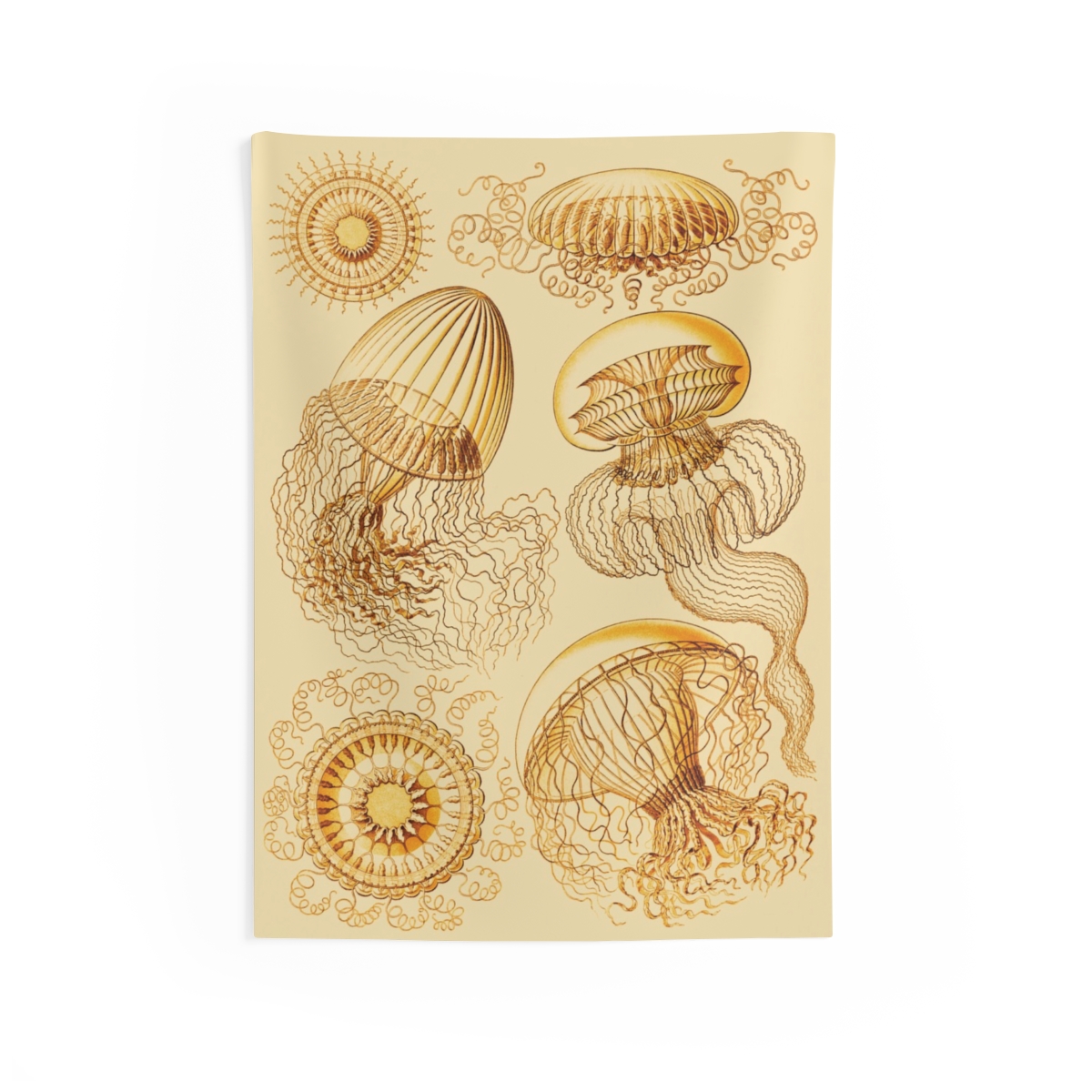 Leptomedusae Ernst Haeckel Indoor Wall Tapestry M4-9