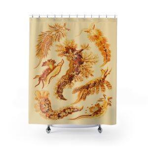 Nudibranchia Ernst Haeckel - Shower Curtain