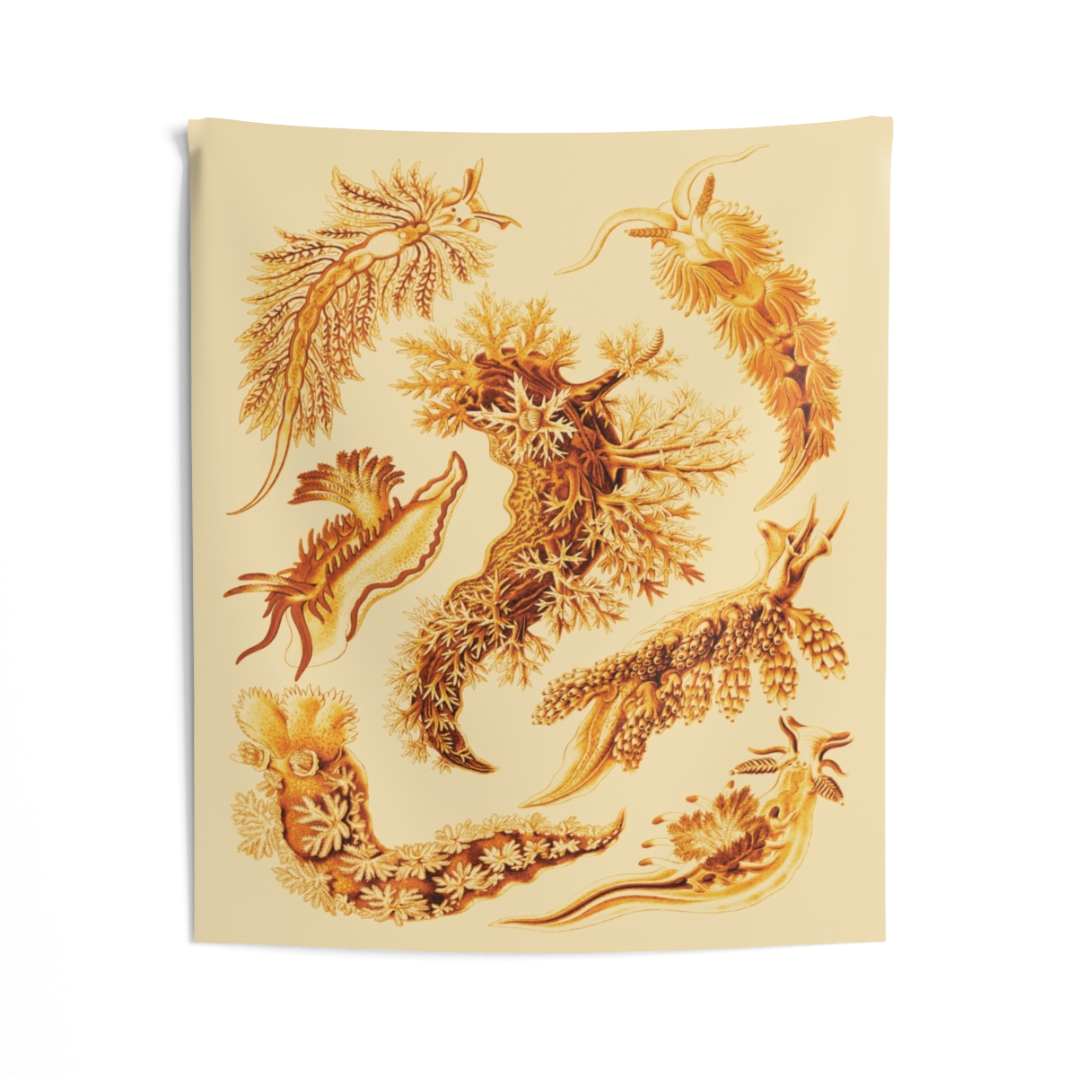 Nudibranchia Ernst Haeckel Indoor Wall Tapestry M4-7 2 Nudibranchia Ernst Haeckel Indoor Wall Tapestry M4-7 - Image 2
