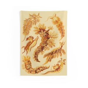 Nudibranchia Ernst Haeckel Indoor Wall Tapestry M4-7 Nudibranchia Ernst Haeckel Indoor Wall Tapestry M4-7