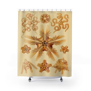 Ophiodea Ernst Haeckel - Shower Curtain