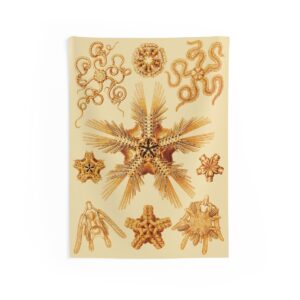 Ophiodea Ernst Haeckel Indoor Wall Tapestry M4-3 Ophiodea Ernst Haeckel Indoor Wall Tapestry M4-3