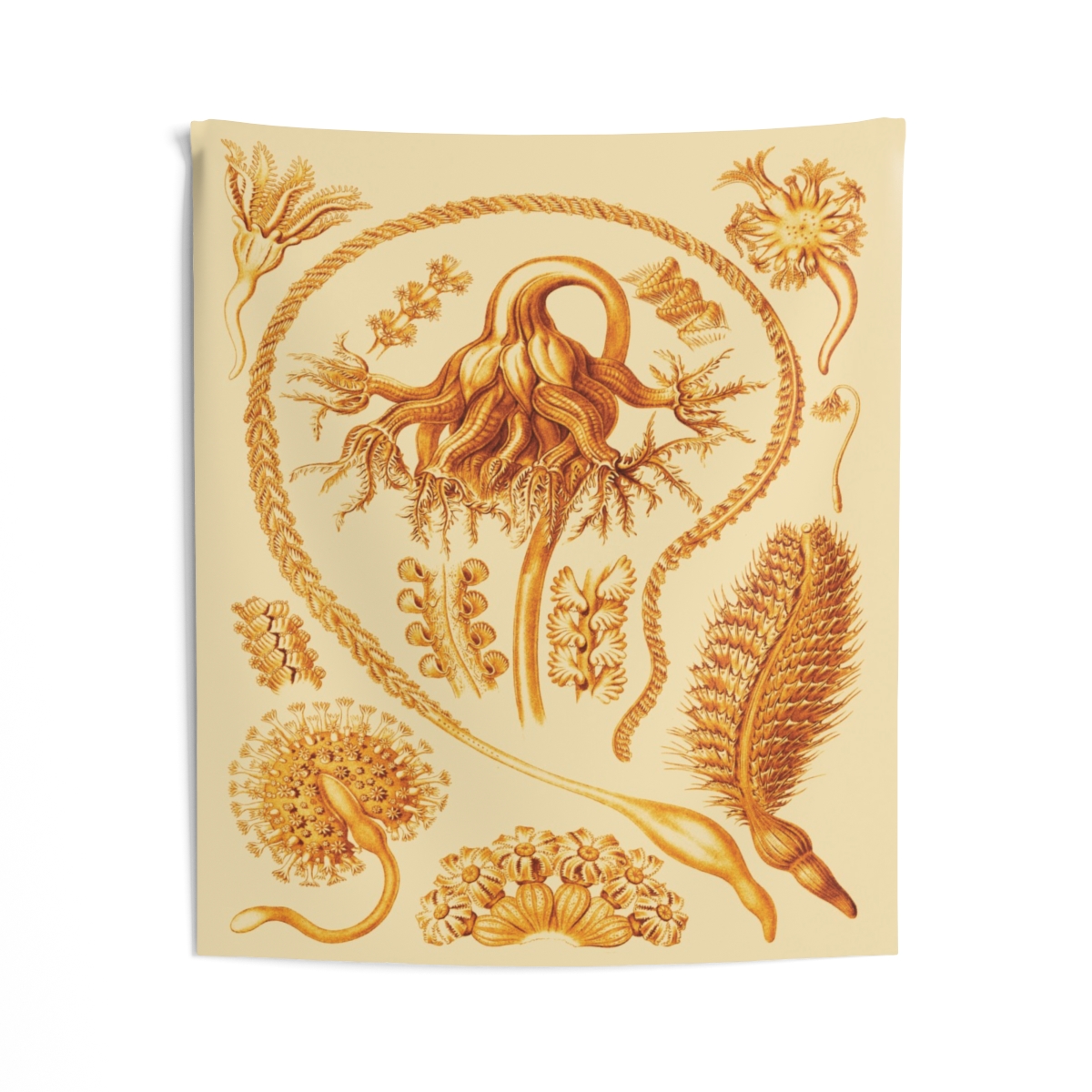 Pennatulida Ernst Haeckel Indoor Wall Tapestry M4-8 - Image 2