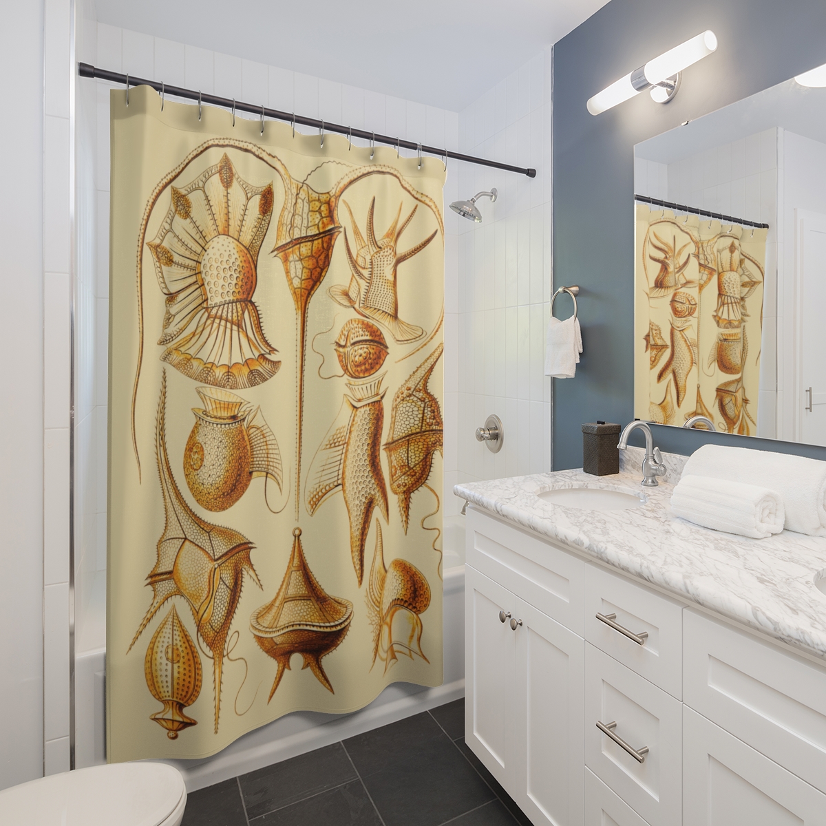 Peridinea Ernst Haeckel - Shower Curtain - Image 2