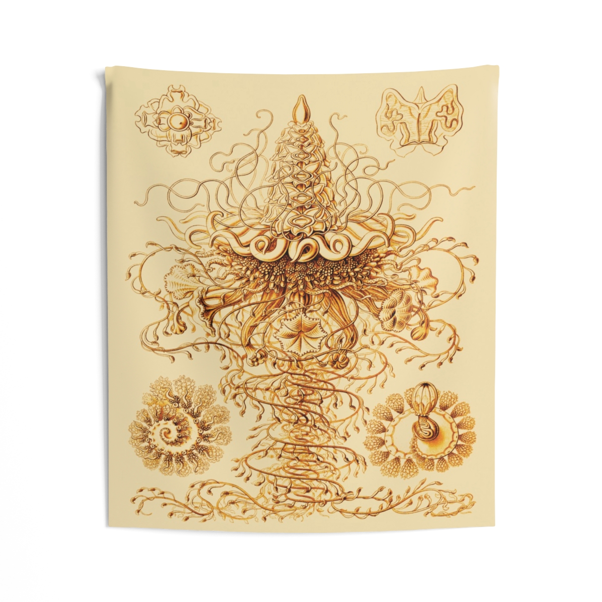 Siphonophore, Ernst Haeckel - Indoor Wall Tapestry - Image 2
