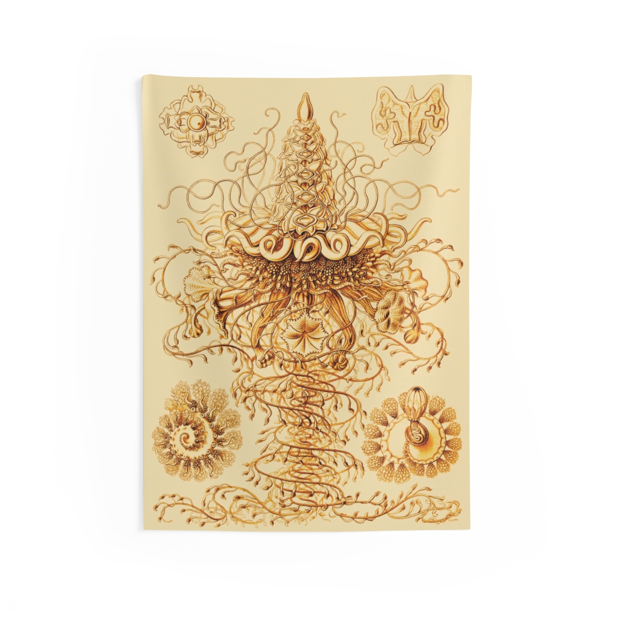 Siphonophore, Ernst Haeckel - Indoor Wall Tapestry