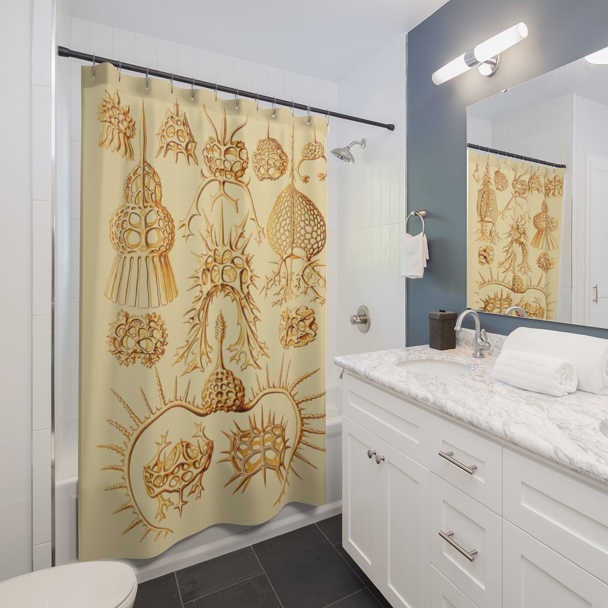 Spyroidea Ernst Haeckel - Shower Curtain 2 Spyroidea Ernst Haeckel - Shower Curtain - Image 2