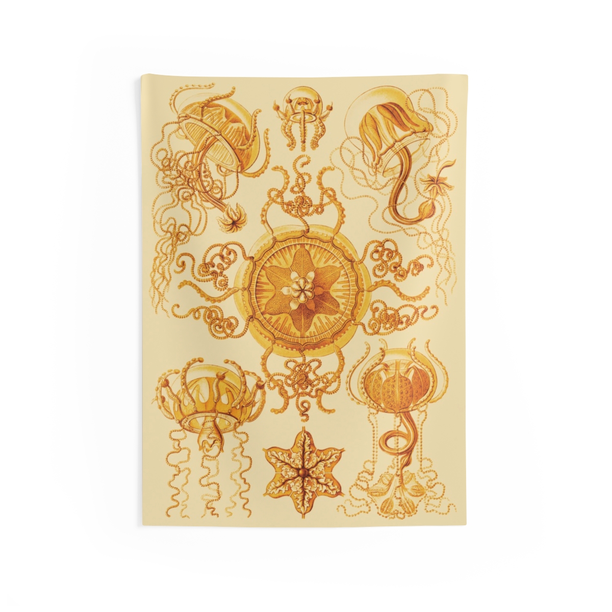 Trachomedusae Ernst Haeckel Indoor Wall Tapestry M4-10