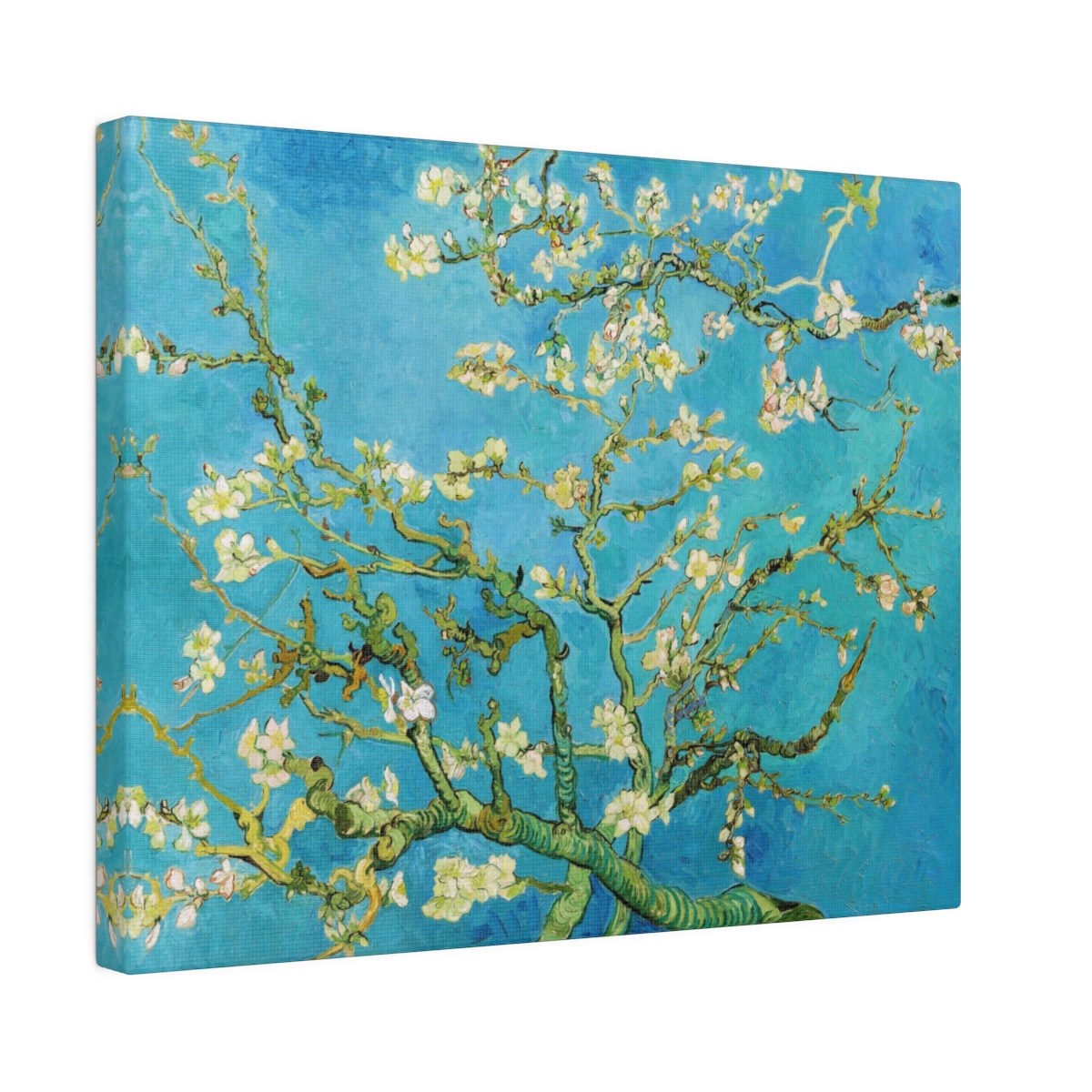 Van Gogh Almond Blossom - Matte Canvas