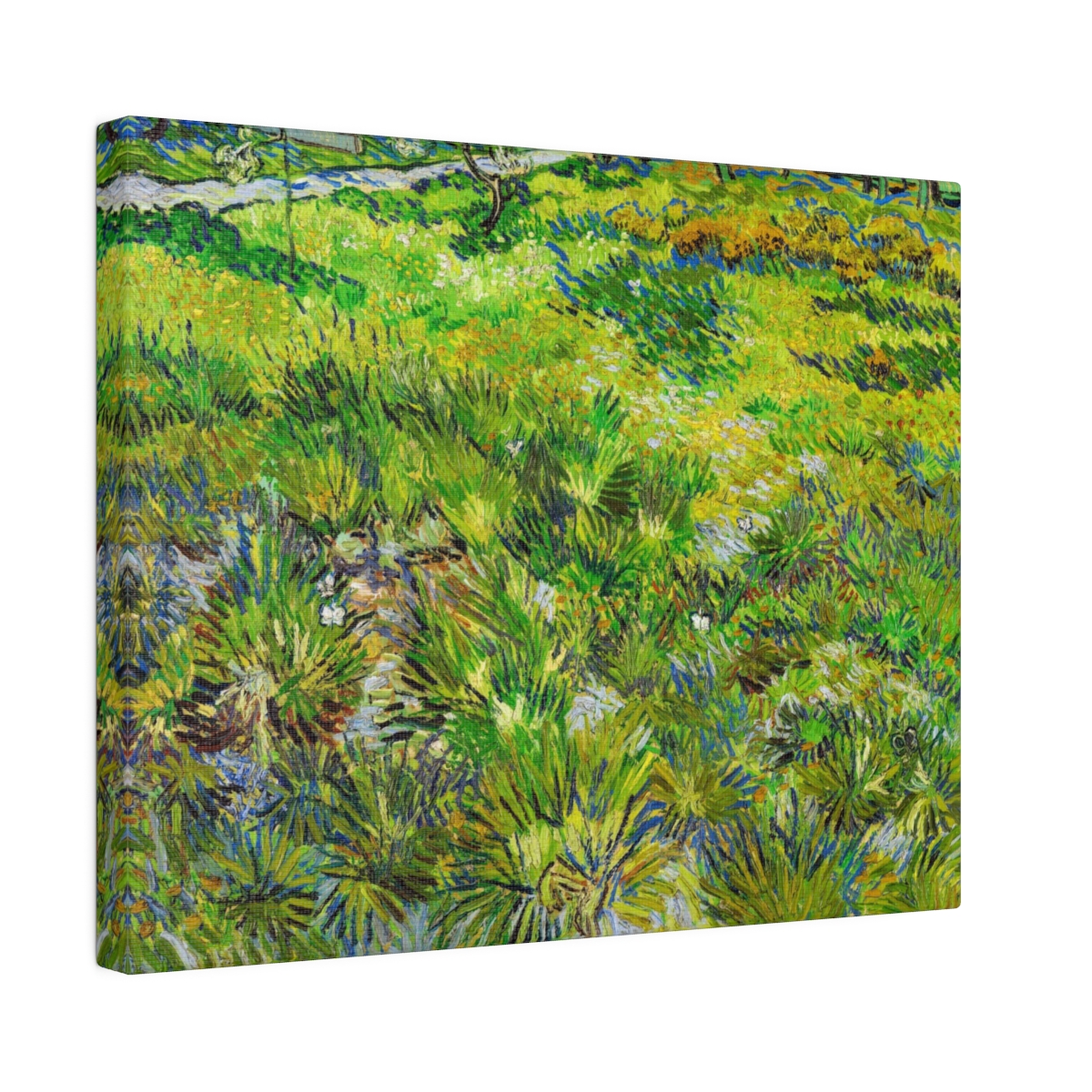 Van Gogh Grass And Butterflies. Matte Canvas, Stretched, S45-105