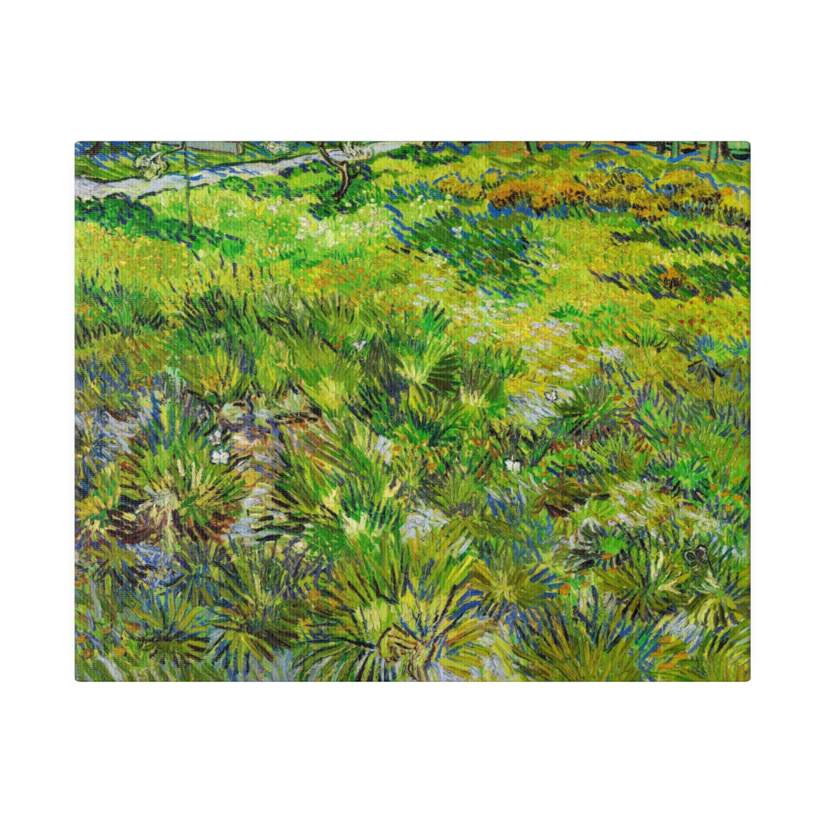 Van Gogh Grass And Butterflies. Matte Canvas, Stretched, S45-105 - Image 2