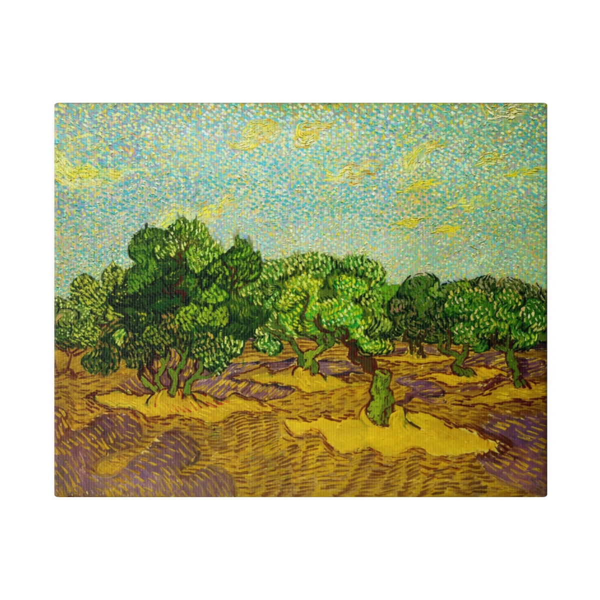 Van Gogh Olive Trees - Matte Canvas - Image 2