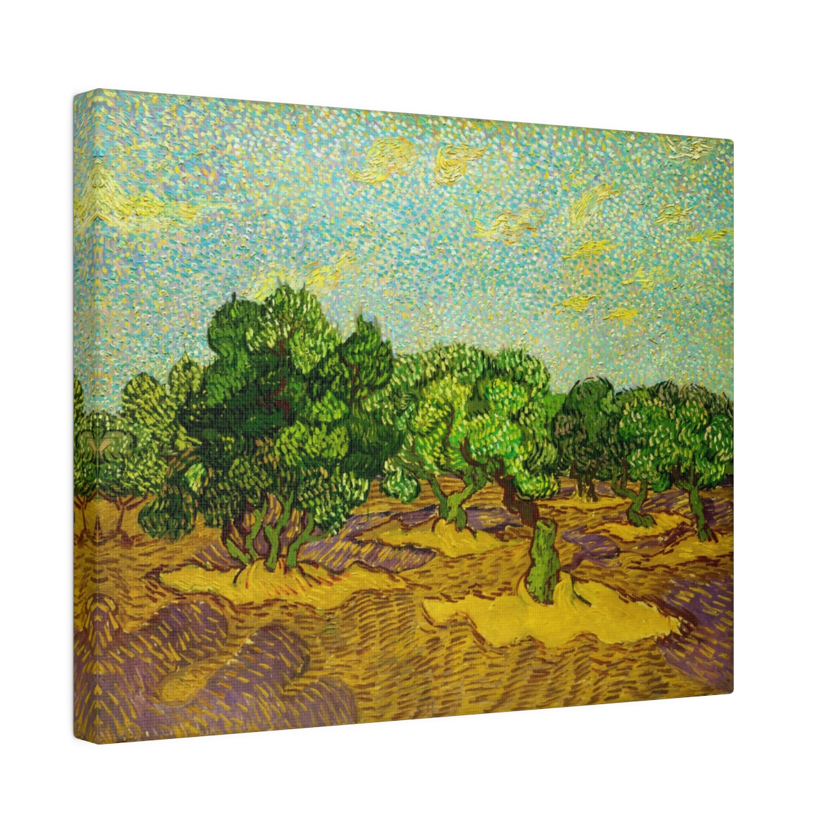 Van Gogh Olive Trees - Matte Canvas