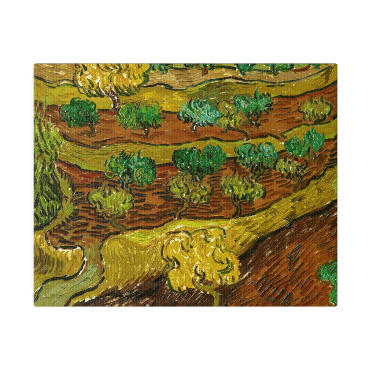 van Gogh Olive Trees against a Slope of a Hill - Matte Canvas - Image 2