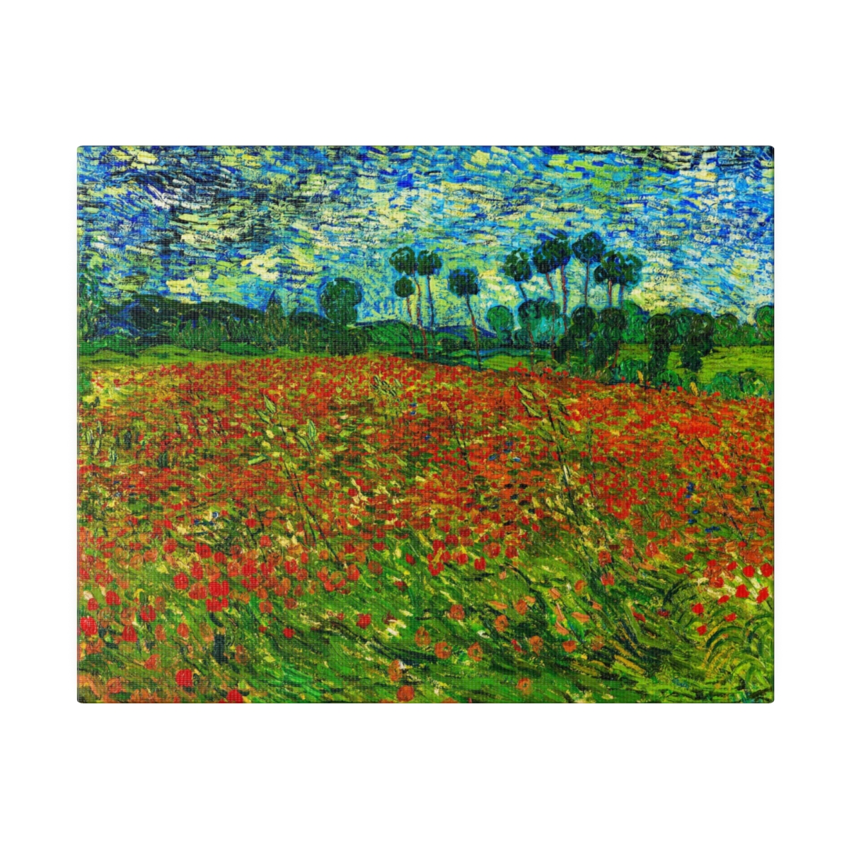 Van Gogh Poppy Field. Matte Canvas, Stretched,   S45-98 - Image 2