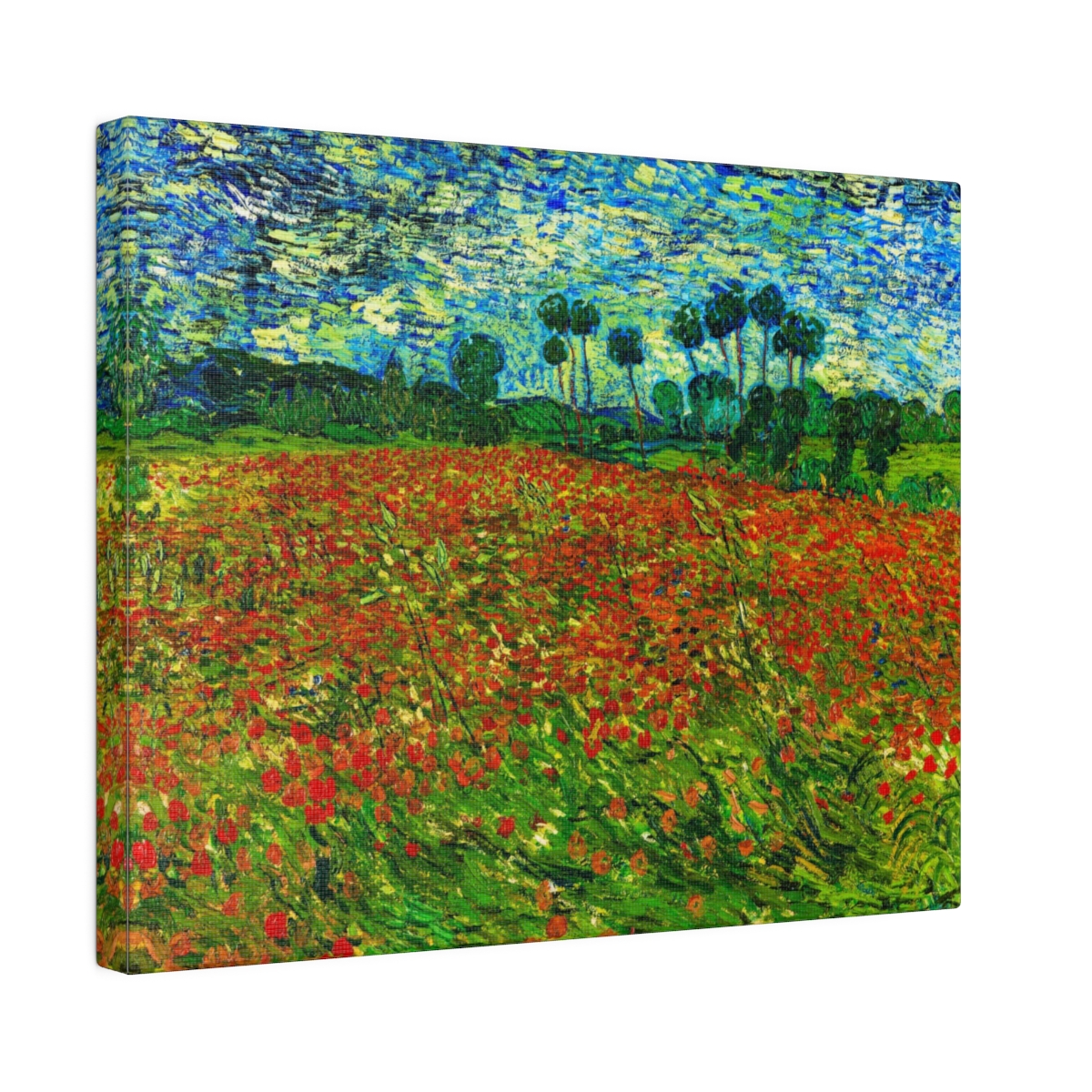 Van Gogh Poppy Field. Matte Canvas, Stretched,   S45-98