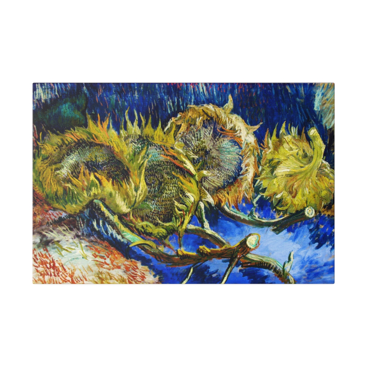 Van Gogh Sunflowers. Matte Canvas, Stretched, S45-60 - Image 2