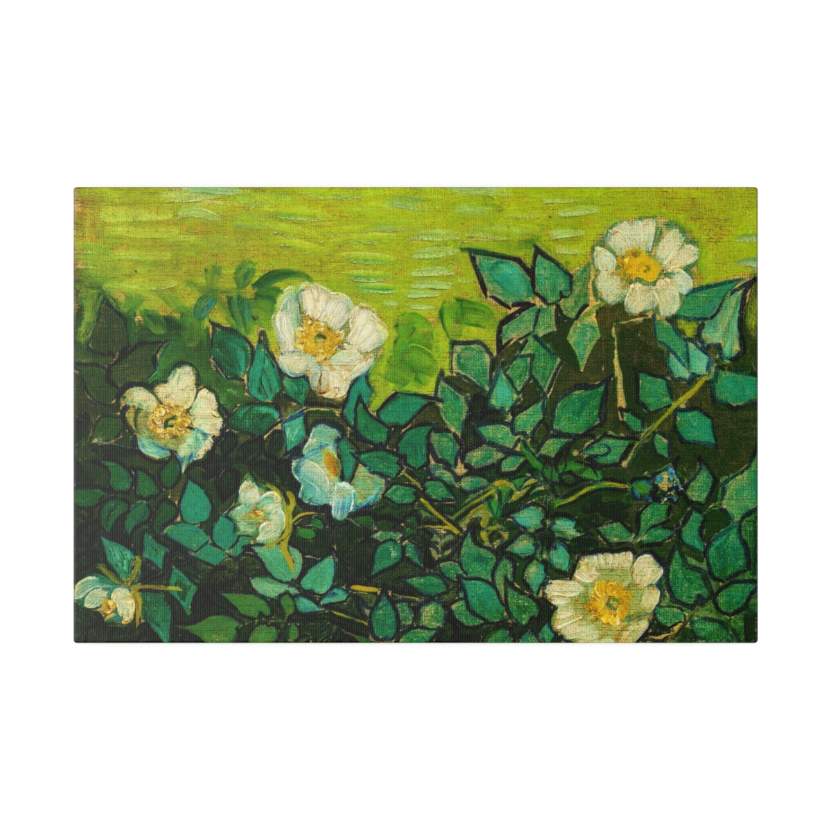 Van Gogh Wild roses. Matte Canvas, Stretched, S45-117 - Image 2