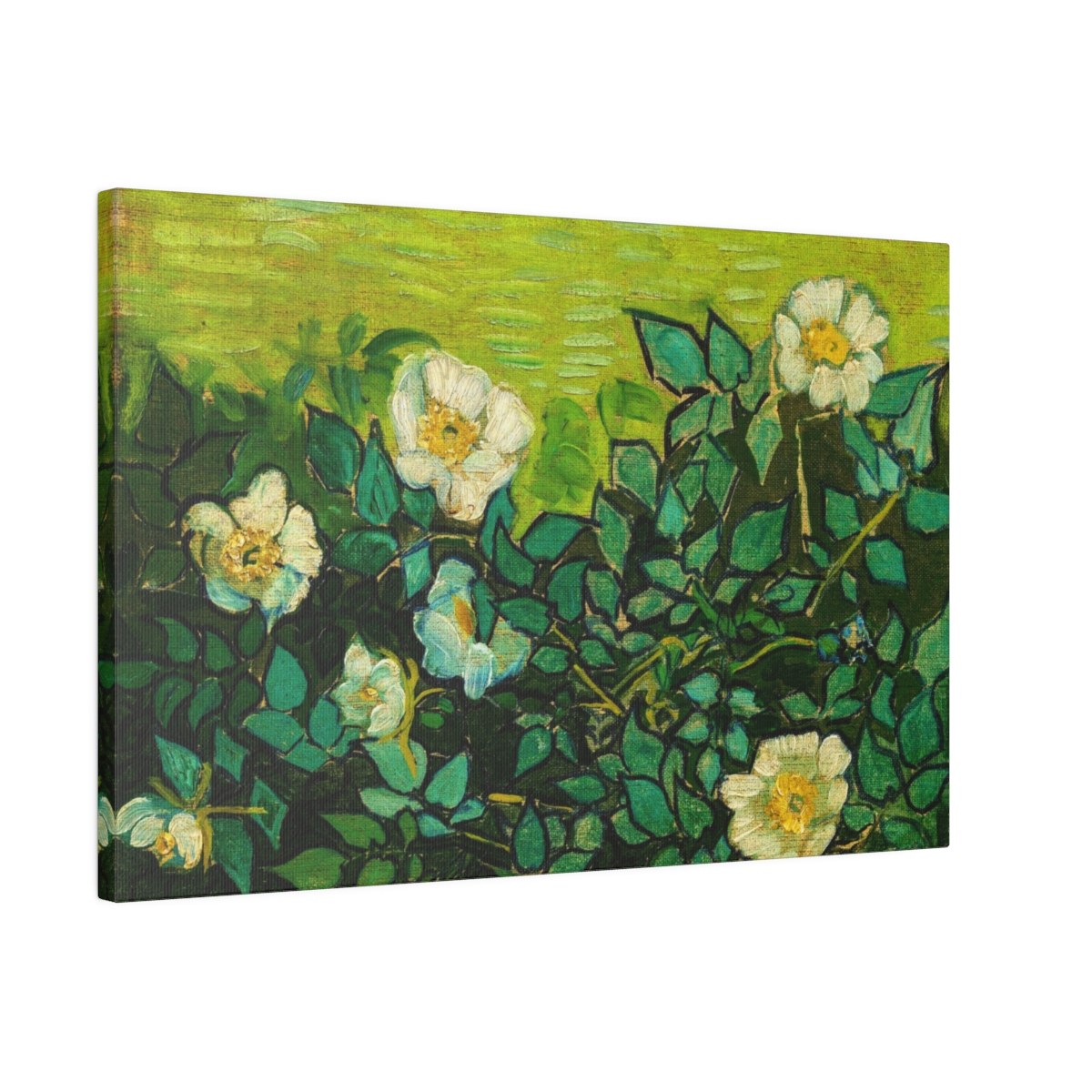 Van Gogh Wild roses. Matte Canvas, Stretched, S45-117