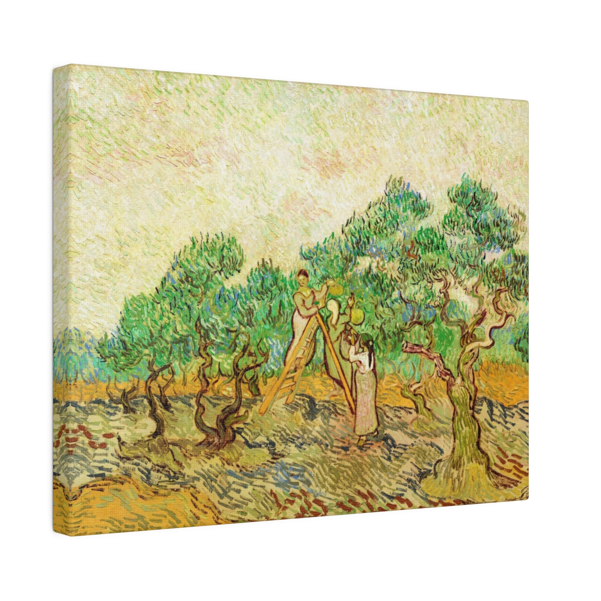 Van Gogh Women Picking Olives - Matte Canvas