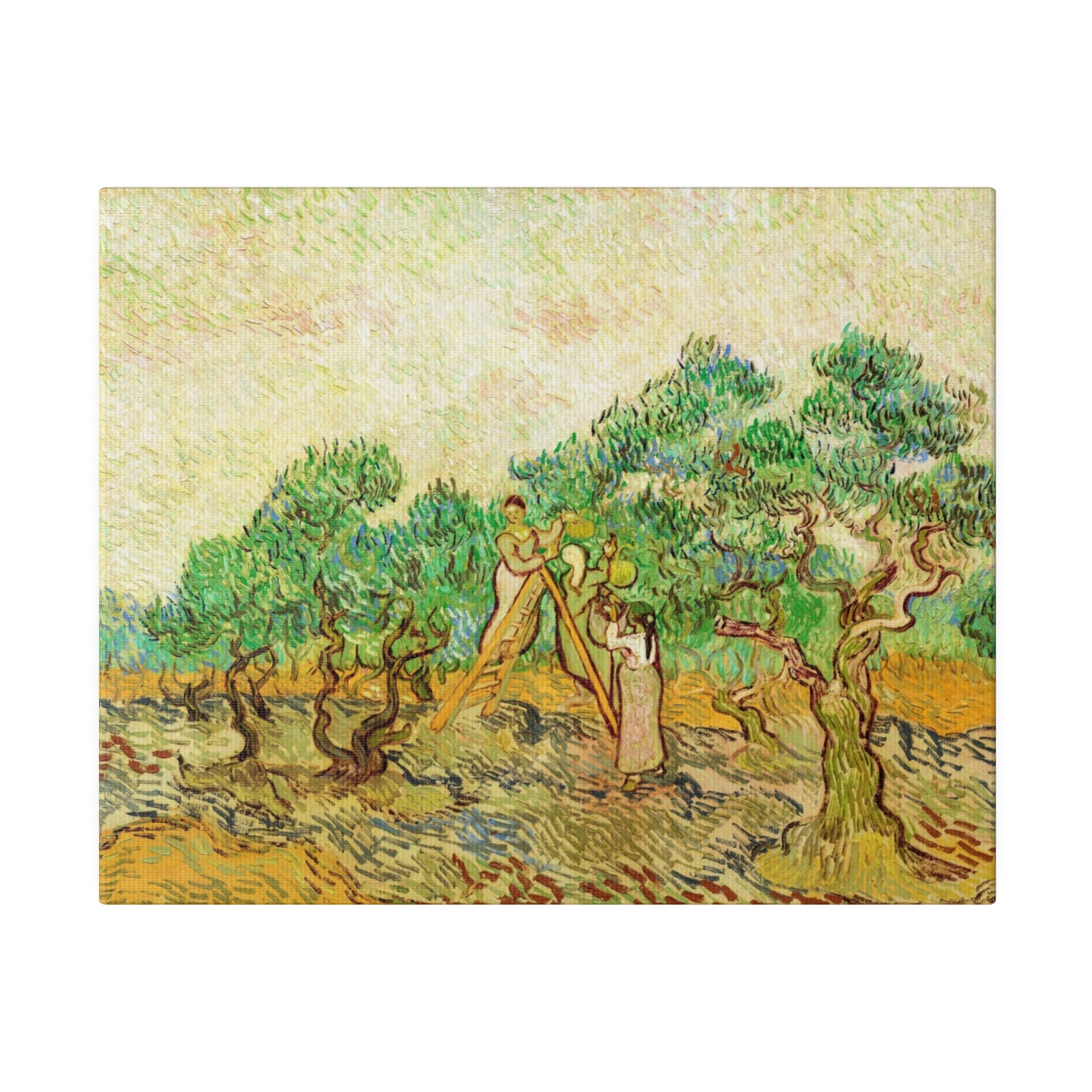Van Gogh Women Picking Olives - Matte Canvas - Image 2