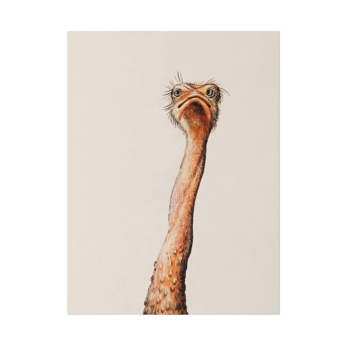 Ostrich - Matte Canvas, 1st in set of 3 - Image 3
