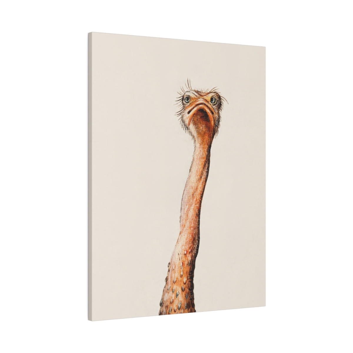 Ostrich - Matte Canvas, 1st in set of 3