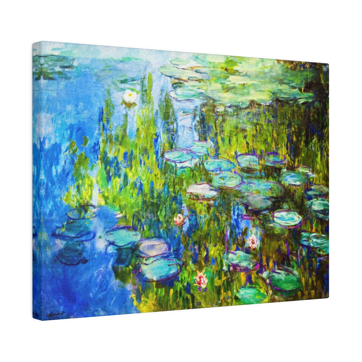 Monet Water Lilies - Matte Canvas