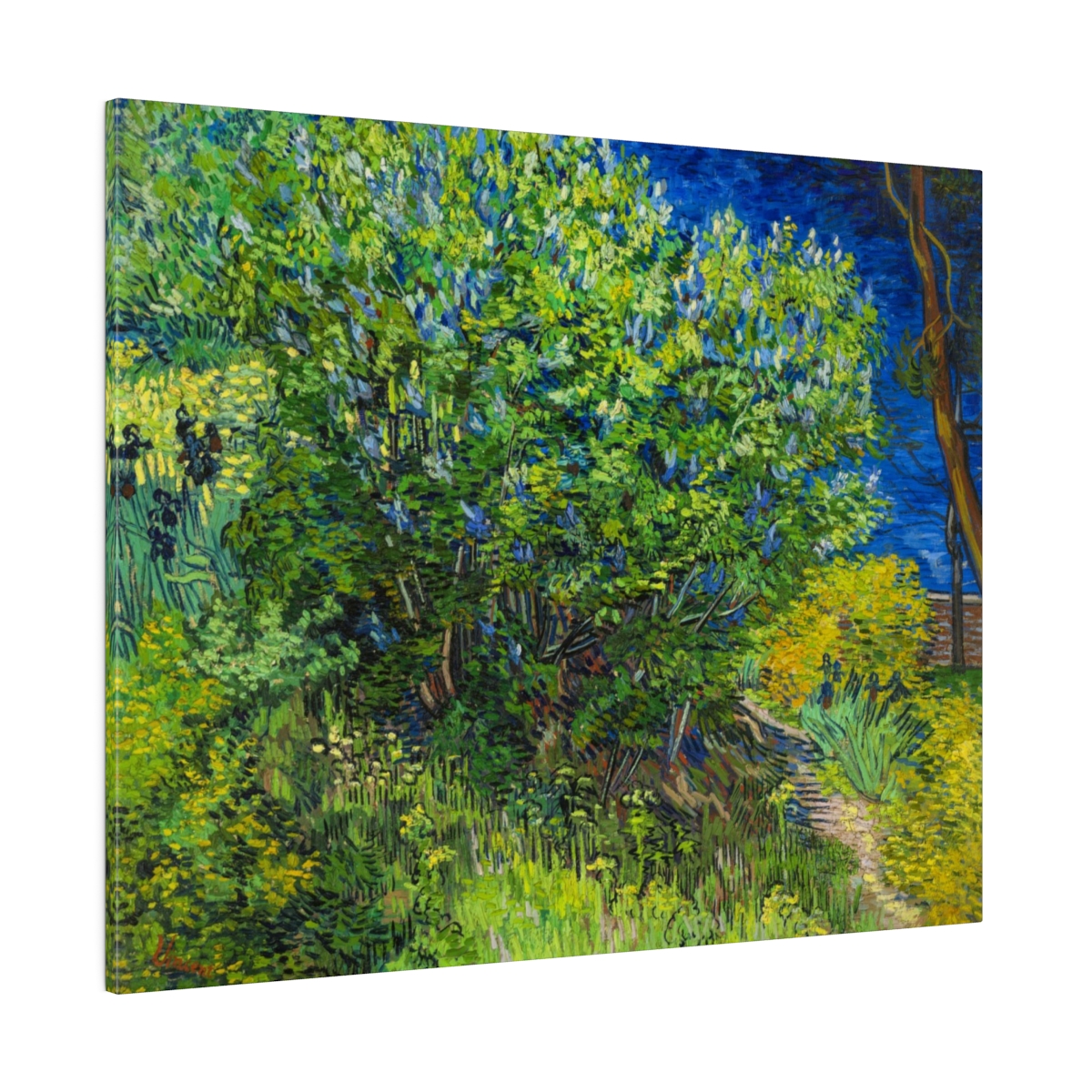 Van Gogh Lilac bush. Matte Canvas