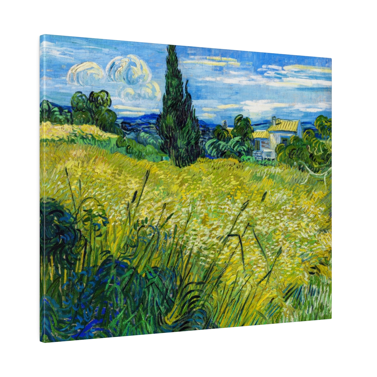 Van Gogh Wheatfield Cypress Tree. Matte Canvas 1 Van Gogh Wheatfield Cypress Tree. Matte Canvas