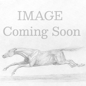 Georg Bocskay Tulips Pillow Case A4-17