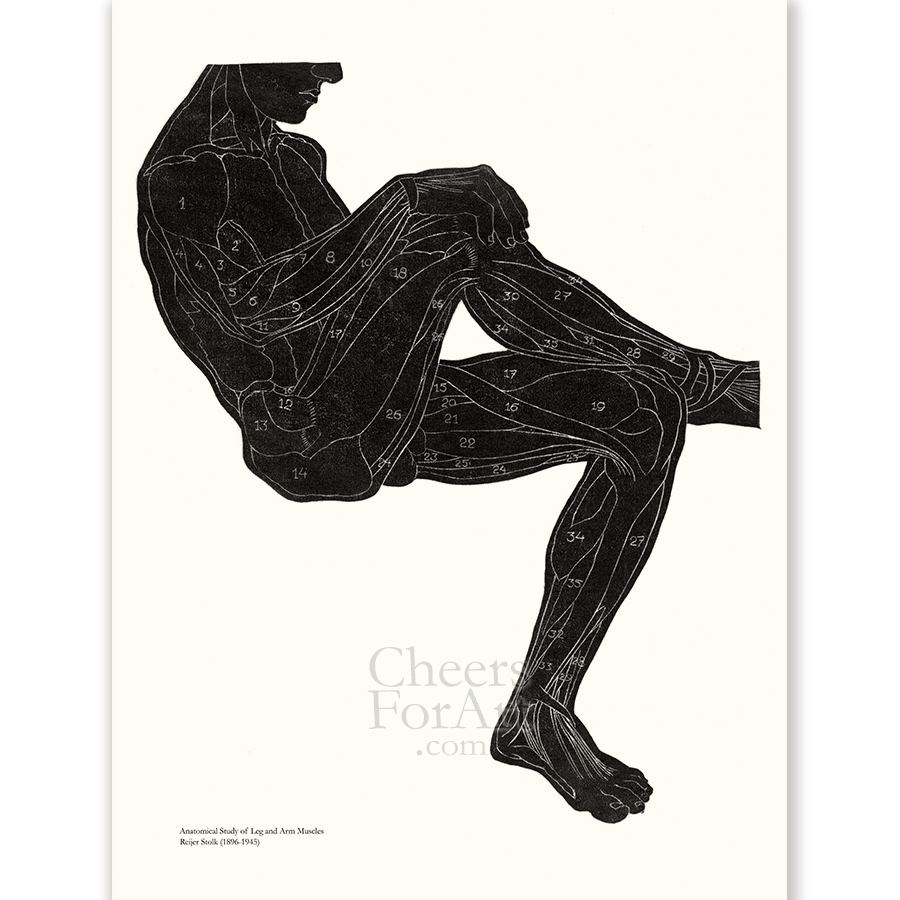 Reijer Stolk Anatomical Study Set of Silhouettes – Art Print - Image 4