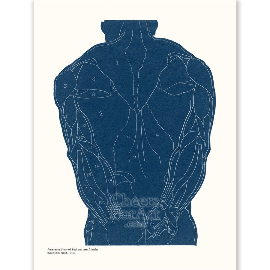 Reijer Stolk Anatomical Study Set of Silhouettes – Art Print - Image 3