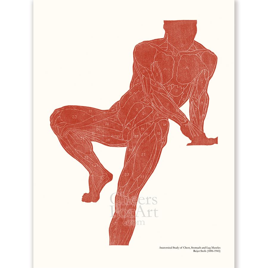 Reijer Stolk Anatomical Study Set of Silhouettes – Art Print - Image 2