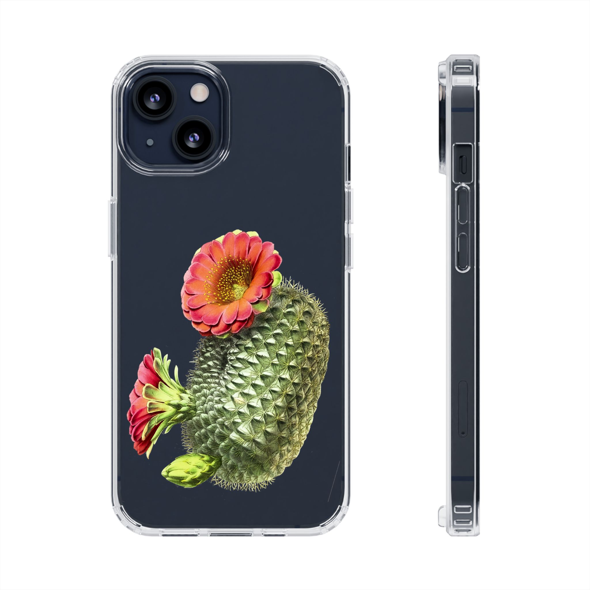 Succulent Plant With Blossoms Clear iPhone Case 1 Succulent Plant With Blossoms Clear iPhone Case