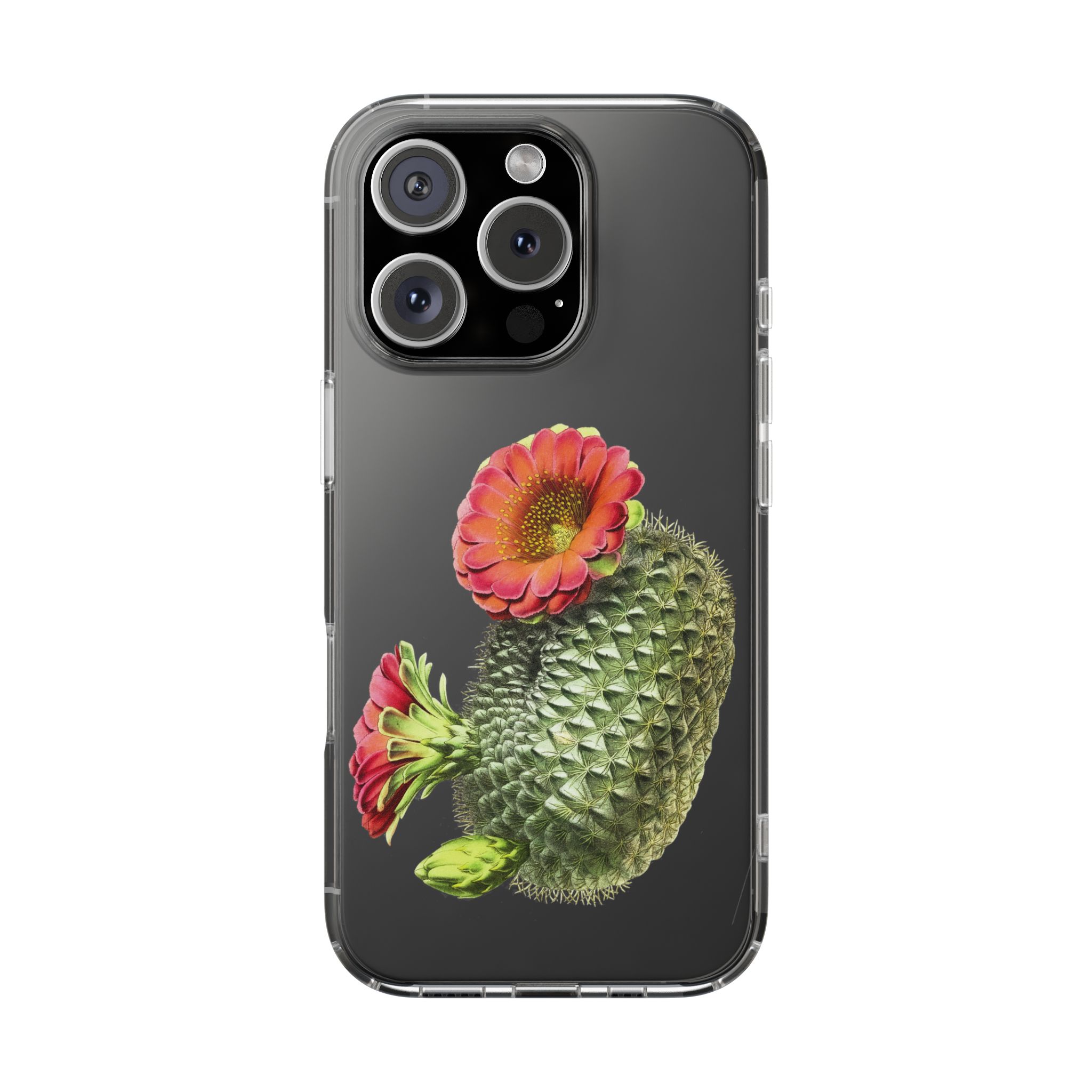 Succulent Plant With Blossoms Clear iPhone Case 2 Succulent Plant With Blossoms Clear iPhone Case - Image 2
